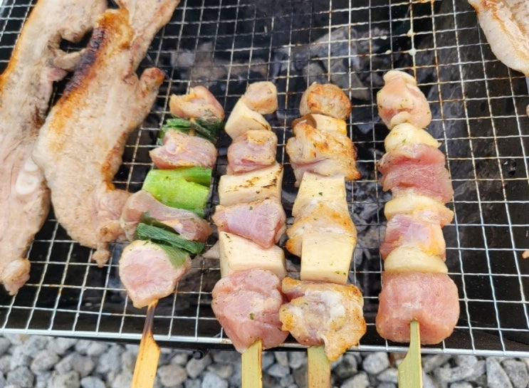  간단하게 캠핑음식 준비하는 방법 명품조선 돼지고기훈제야채꼬치