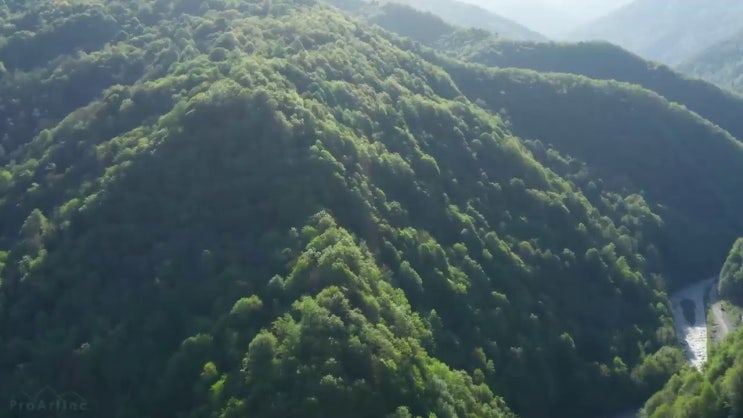  축산산업기사 시험시간 축산산업기사 자격요건 온라인으로 1학기에 성공한 비법
