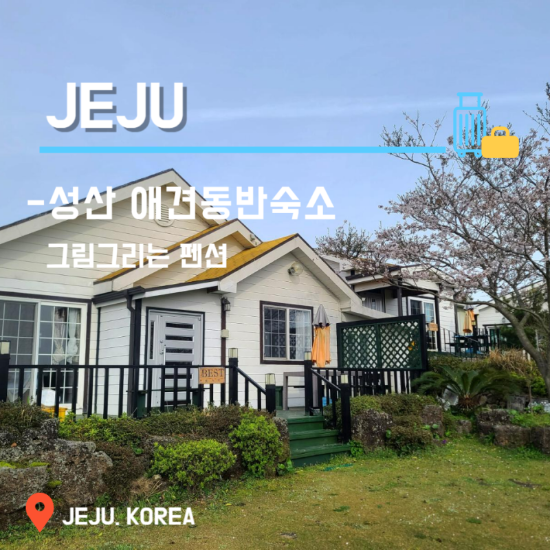 사진 5