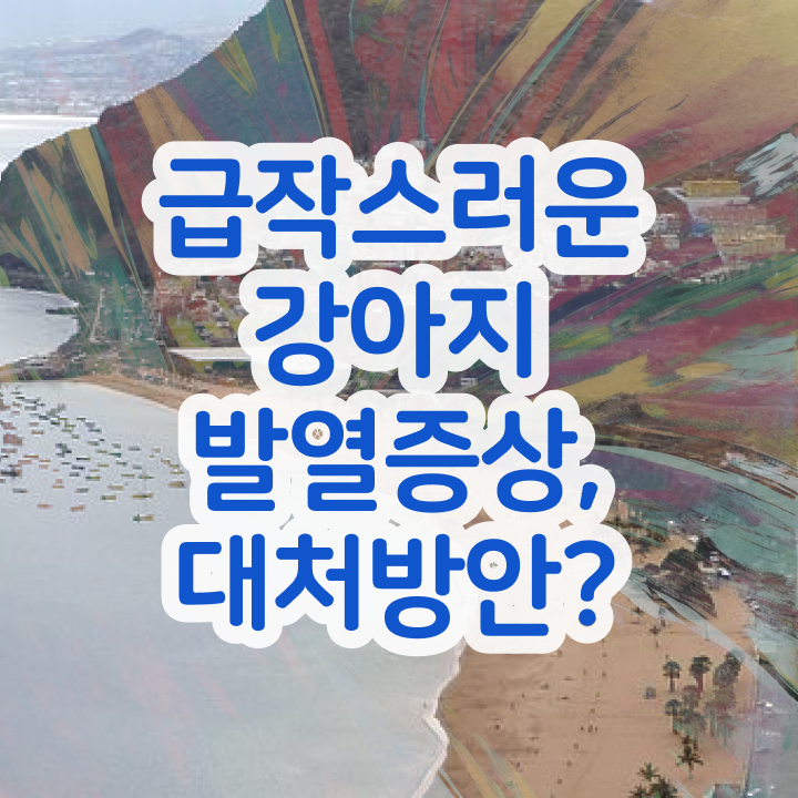  오산 강아지 훈련사 , 반려동물관리사 자격증 취득한 과정 확인해봅시다