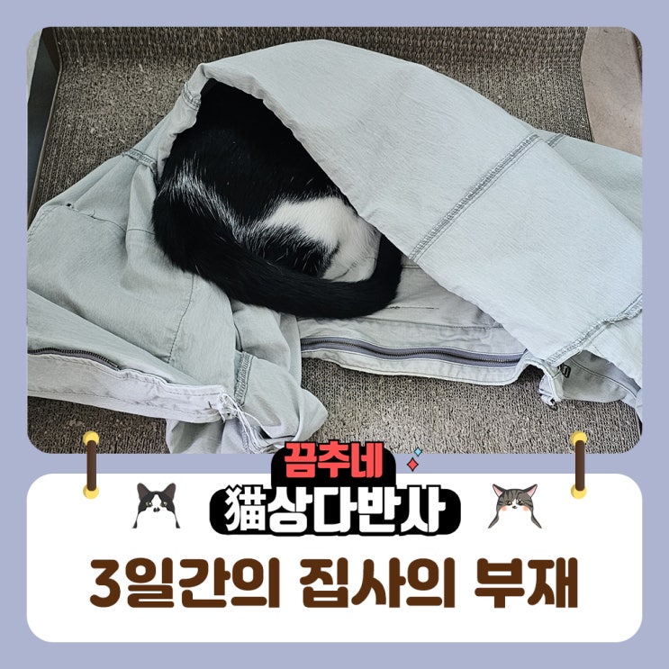  집사의 부재가 끔추에게 미치는 영향