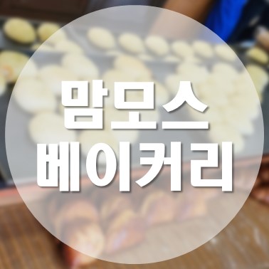  [국내/안동] 전국 3대 빵집 안동문화의 거리 크림치즈빵 맛집 맘모스베이커리 주차장
