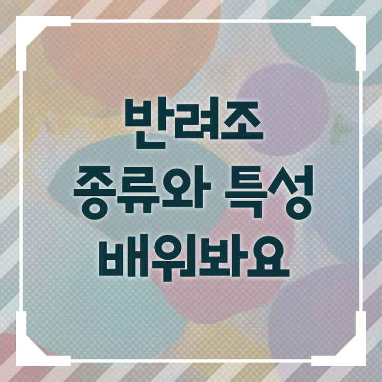 앵무새 똥 , 반려조관리사 자격증 온라인 교육으로 시험준비 총 정리 앵무새 똥 , 반려조관리사 자격증 온라인 교육으로 시험준비 총 정리