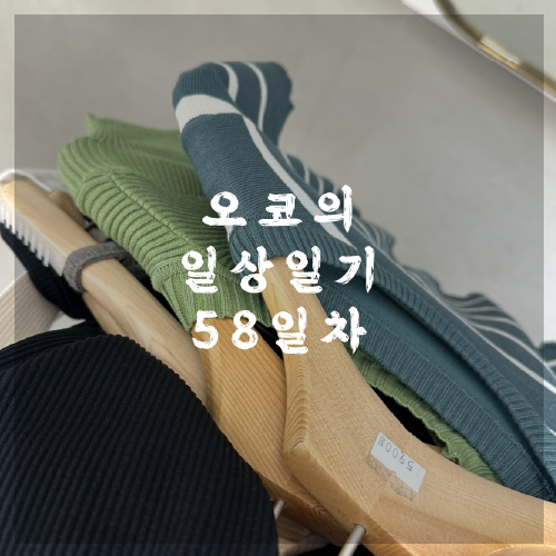  오코의 100일 작업일기 DAY 58 강남역 옷쇼핑하고 옴
