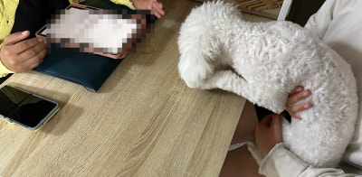 사진 2