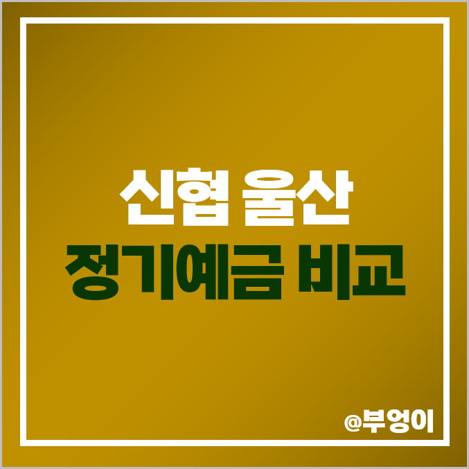 울산 신협 정기예금 금리 특판 비교 유니온 정기예탁금 예금 추천 울산 신협 정기예금 금리 특판 비교 유니온 정기예탁금 예금 추천