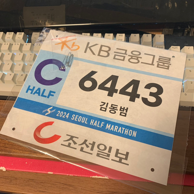 2024 서울하프마라톤은 DNS