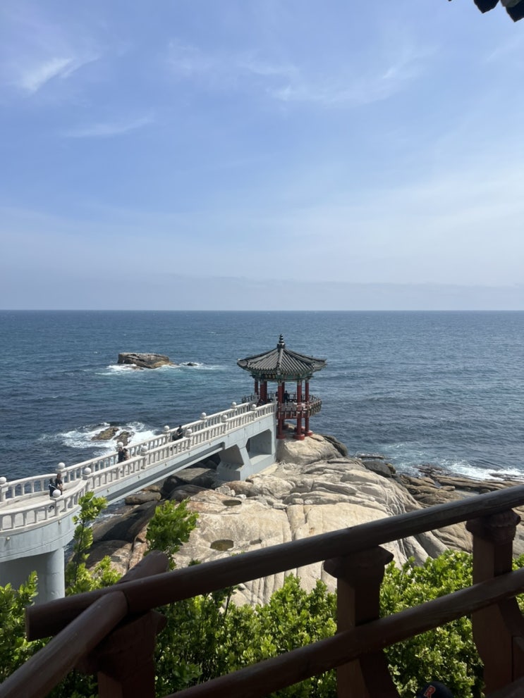  강원도 강릉, 속초, 양양 다 돌고온 2박 3일 여행