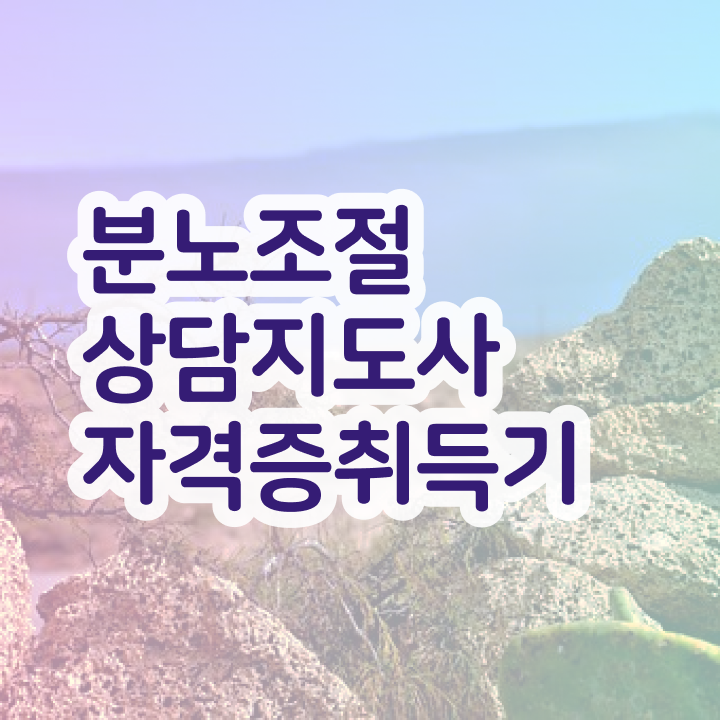  2급분노조절상담지도사학원 , 분노조절상담지도사 준비한 방법 , 커리어 활용방안
