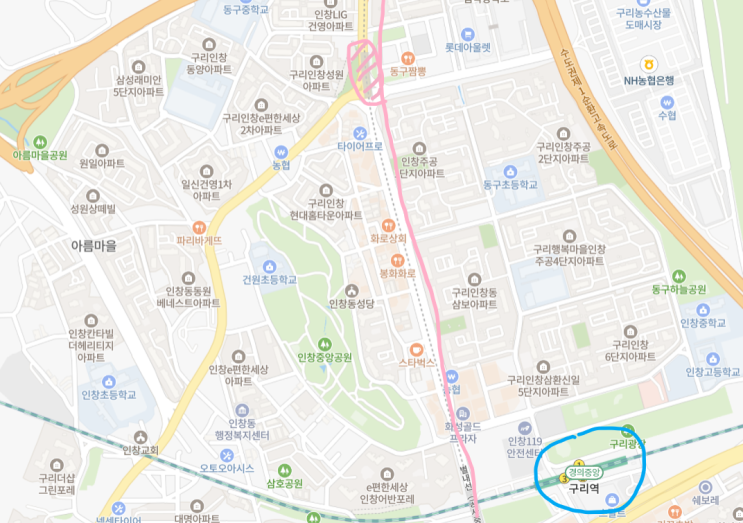  8호선 별내선 동구릉역 수혜지역, 역세권 단지