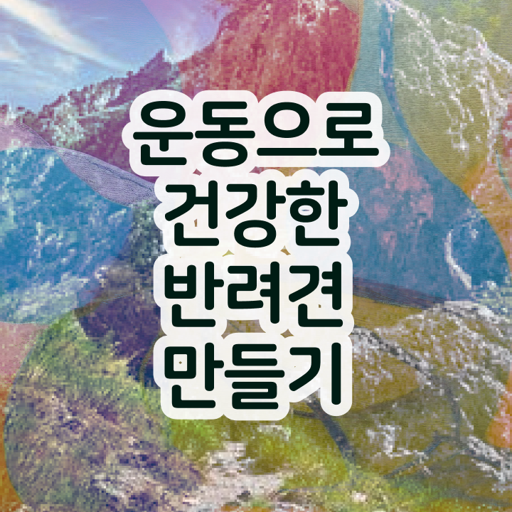  반려동물종합관리사 15일 만에 반려견운동지도사 준비 과정
