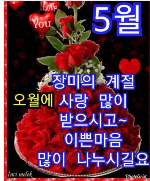  5월 월요일 이미지, 5월 행복하세요 아침인사 5월 좋은글 감성 모르면 나가라