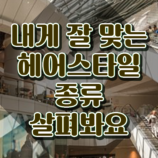  헤어스타일리스트 , 커트지도사 자격증 취득 정보 전격분석