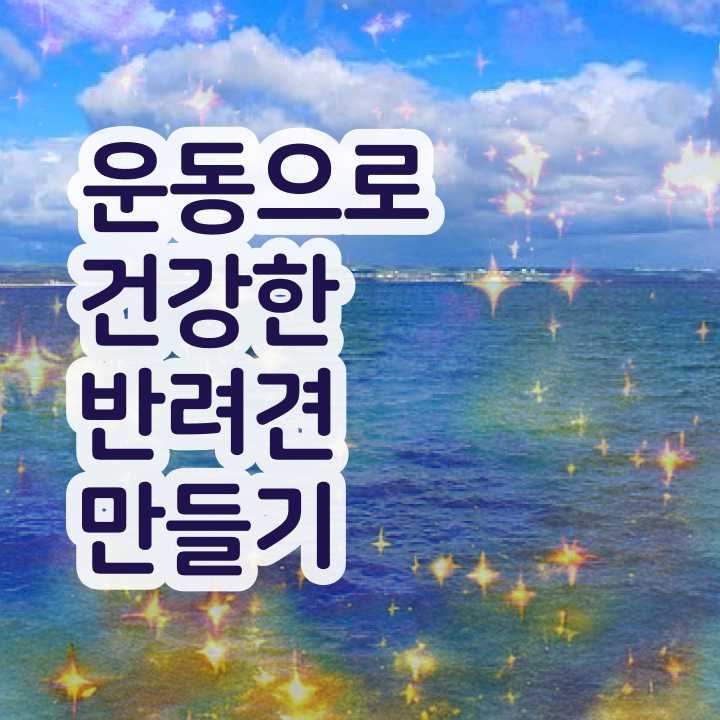  반려동물 종류 , 반려견운동지도사자격증 취득한 과정 , 향후 전망