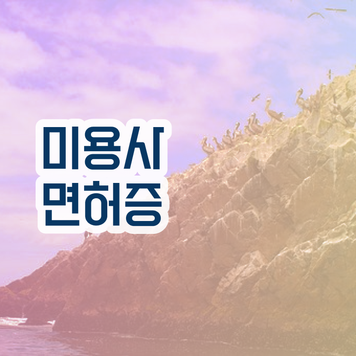  피부관리사 연봉 , 피부관리사 창업 할 때, 합격해야 하는 자격증은? 학은제로 간단하게