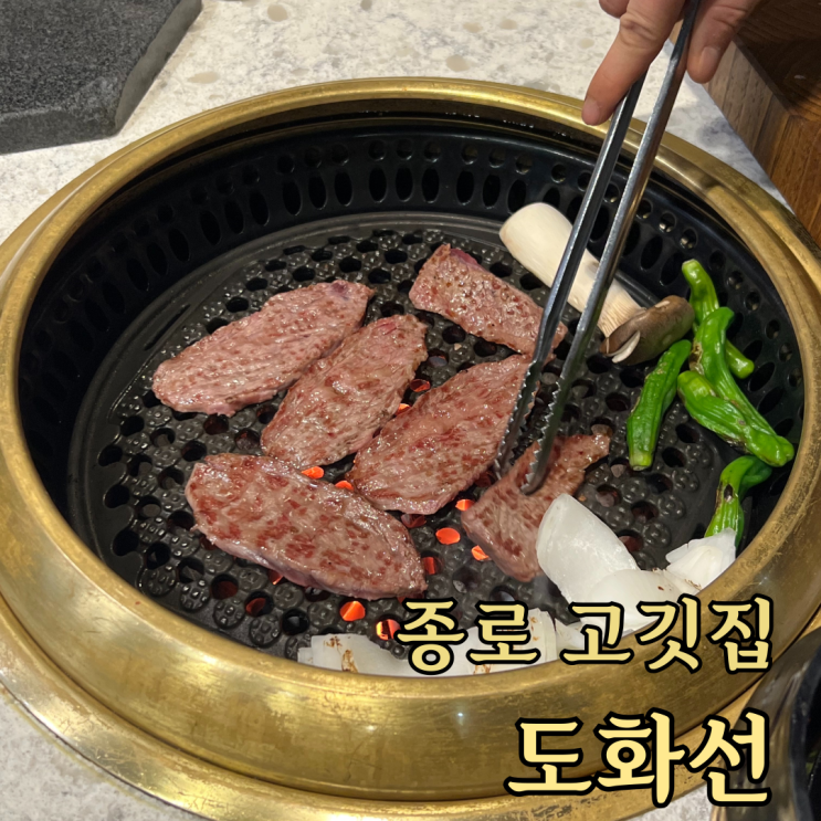  [종로] 소고기 맛집 도화선 / 종각 먹자골목 고깃집 추천