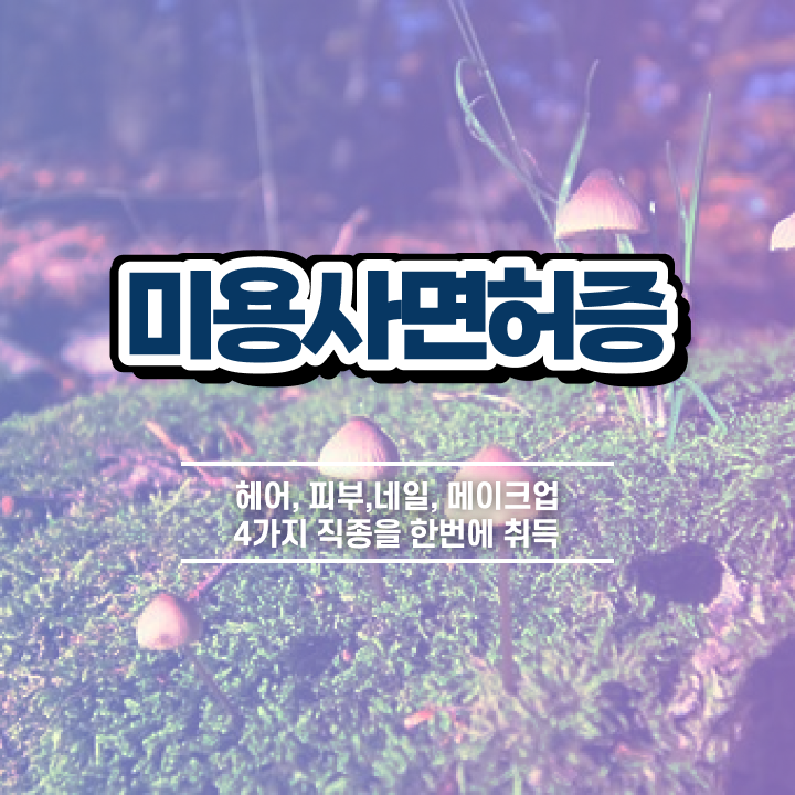  네일디자인모음 , 네일 국가자격증 창업 할 때, 공부해야 하는 자격사항