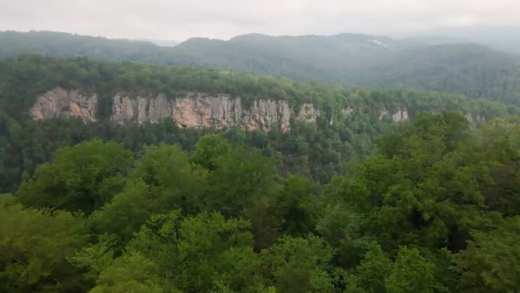  산림 기사전망 산림기사 응시조건 학점은행제로 반 년만에 완료한 전략