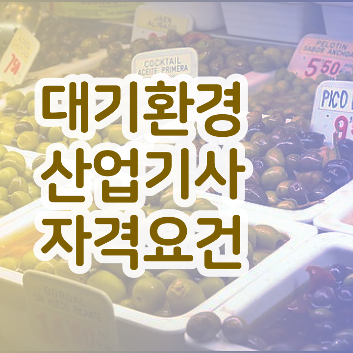  대기환경산업기사 필기 대기환경산업기사 자격요건 집에서 온라인으로 1학기 만에 성공한 후기
