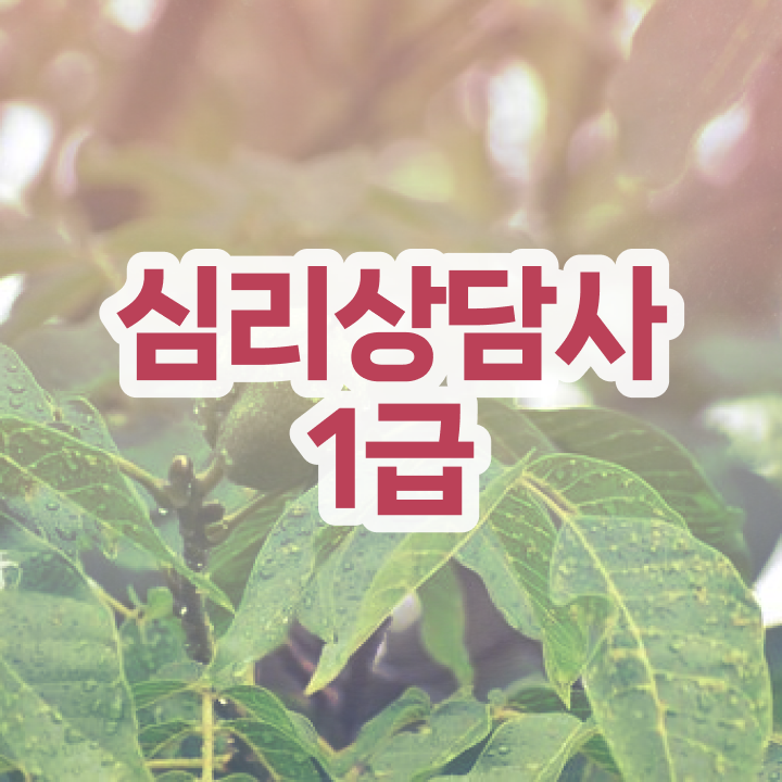  2급심리상담사학원 , 심리상담사 자격증 상세한 합격한 비법 및 활용 방법