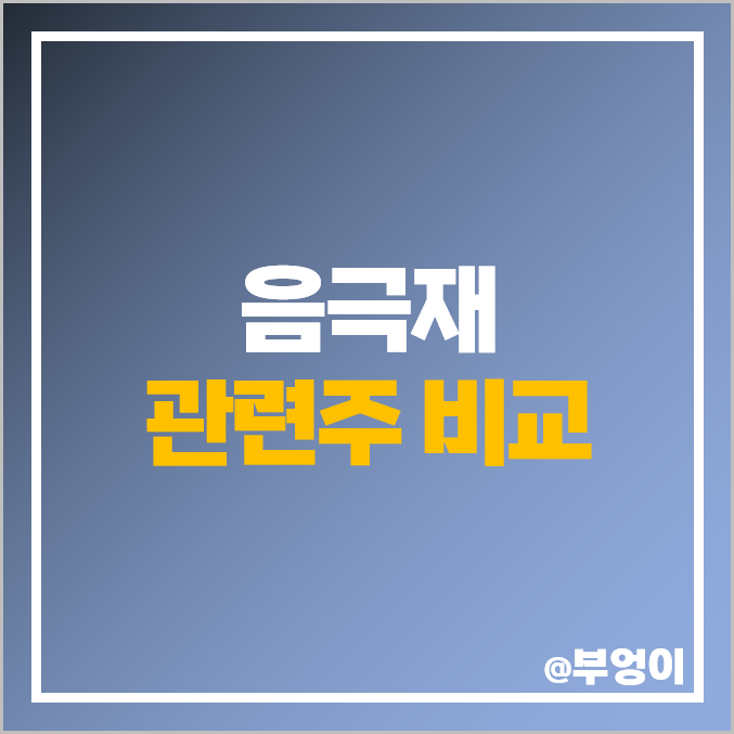 음극재 관련주 대주전자재료 주식 일진전기 주가 한솔케미칼 음극재 관련주 대주전자재료 주식 일진전기 주가 한솔케미칼