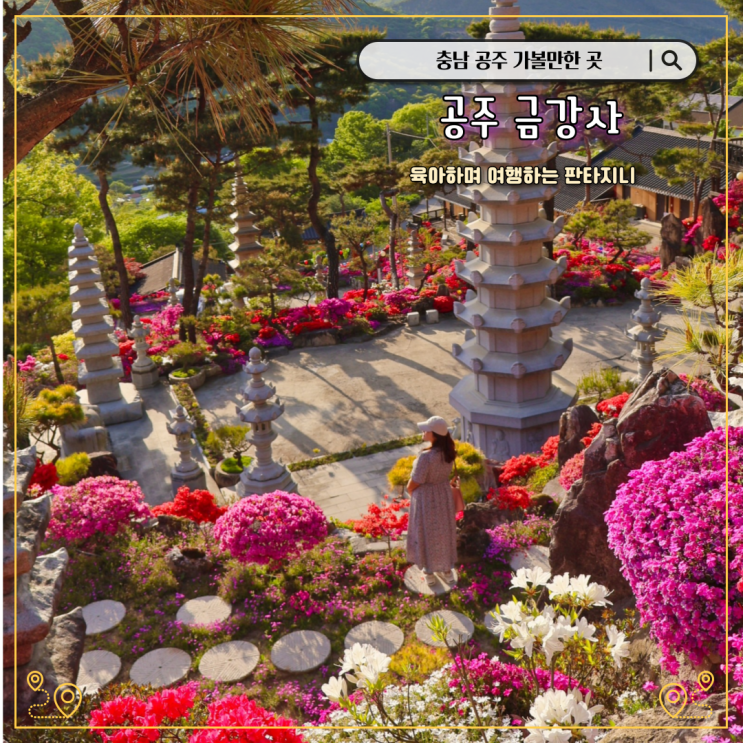  공주 금강사 꽃잔디 명소 - 철쭉과 콜라보가 특별한 사찰(주차)