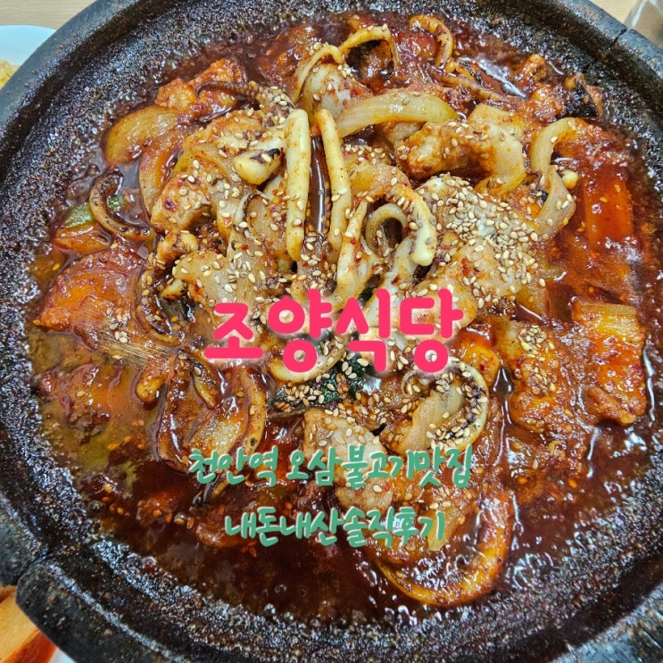  조양식당 천안역 로컬맛집 내돈내산솔직후기