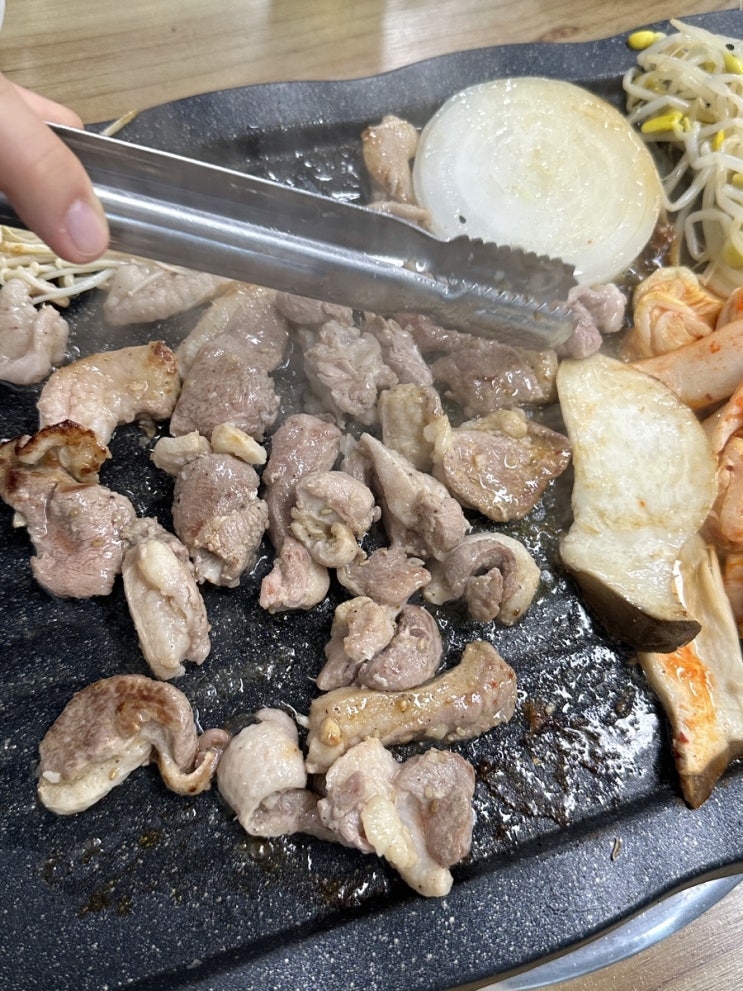  [제주 맛집] 제주 공항 제주 국수거리 신산공원 문예회관 근처 오리고기 맛집 : 신산가든