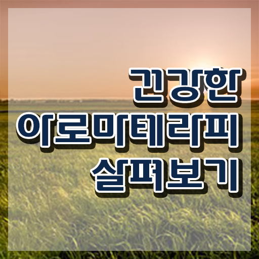  아로마뷰티diy지도사 온라인 교육 , 아로마뷰티DIY지도사 자격증 20일 만에 준비한 과정 , 온라인 무료강의