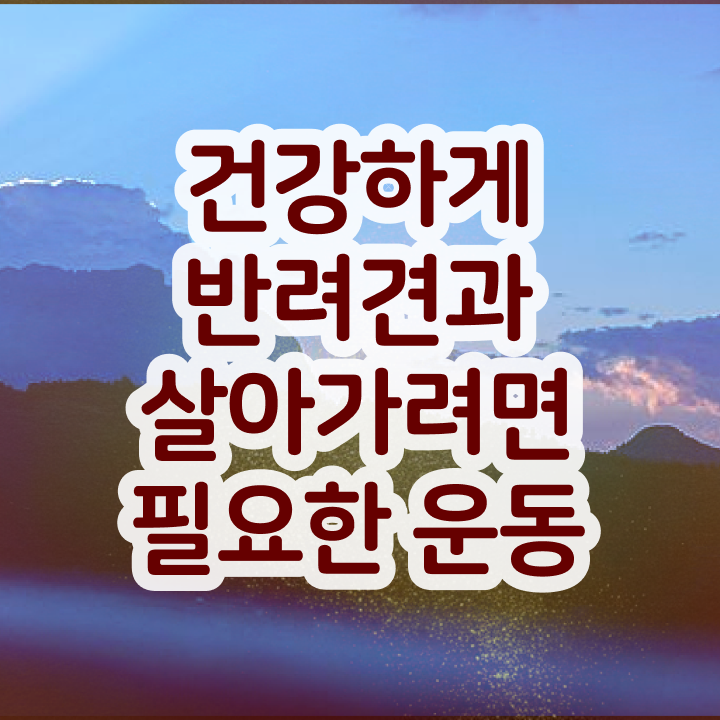  반려동물관리사 취업 20일 만에 반려견운동지도사 준비한 방법