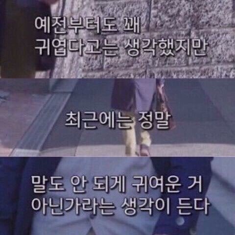  [4.22 ~4.28] 4월 넷째주 주간일기