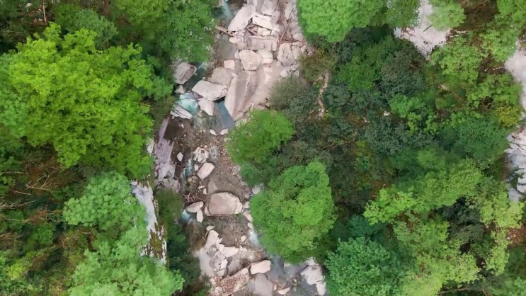  건설안전산업기사 독학 건설안전산업기사 응시자격 온라인 과정으로 간편하게 준비했던 노하우