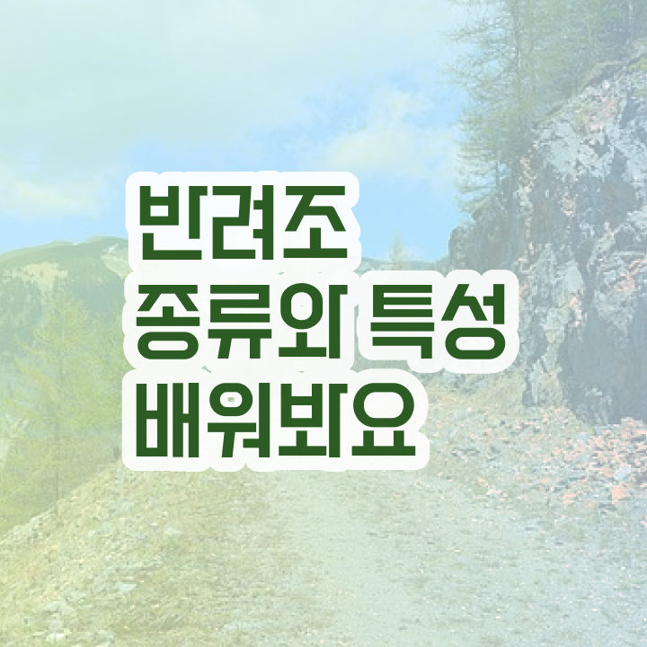  부산 앵무새 , 반려조관리사 자격증 온라인으로 쉽게 취득한 노하우 정보를 알고싶다면