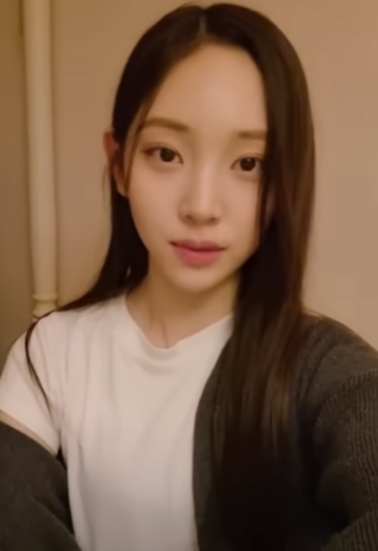 아일릿 영서 탈퇴 재조명 이유 +하이브 단월드?