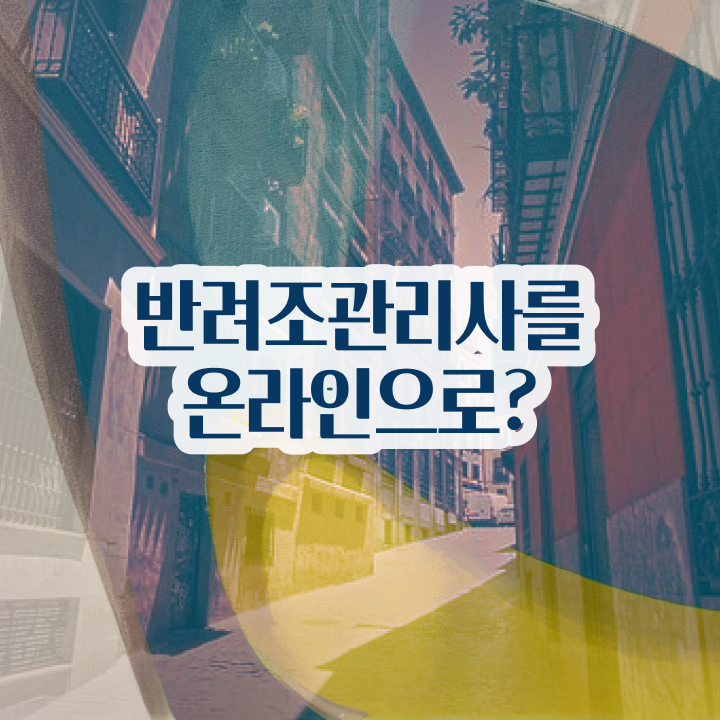  뉴기니아앵무분양 , 반려조관리사 자격증 취득한 과정 정리해봤어요