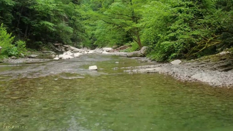 산림기사 관련학과 산림기사 시험자격 인강으로 1학기에 준비하는 전략