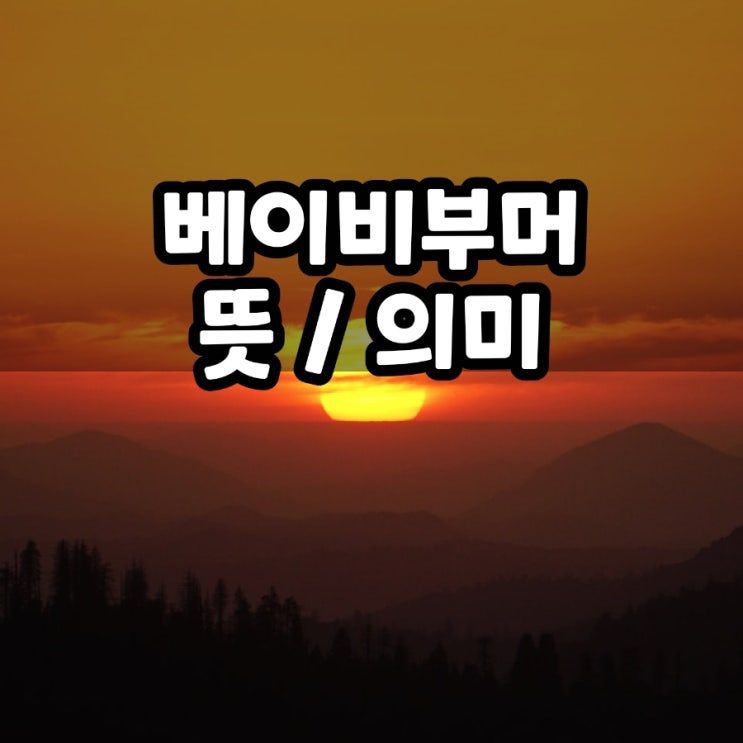  베이비부머 세대 뜻