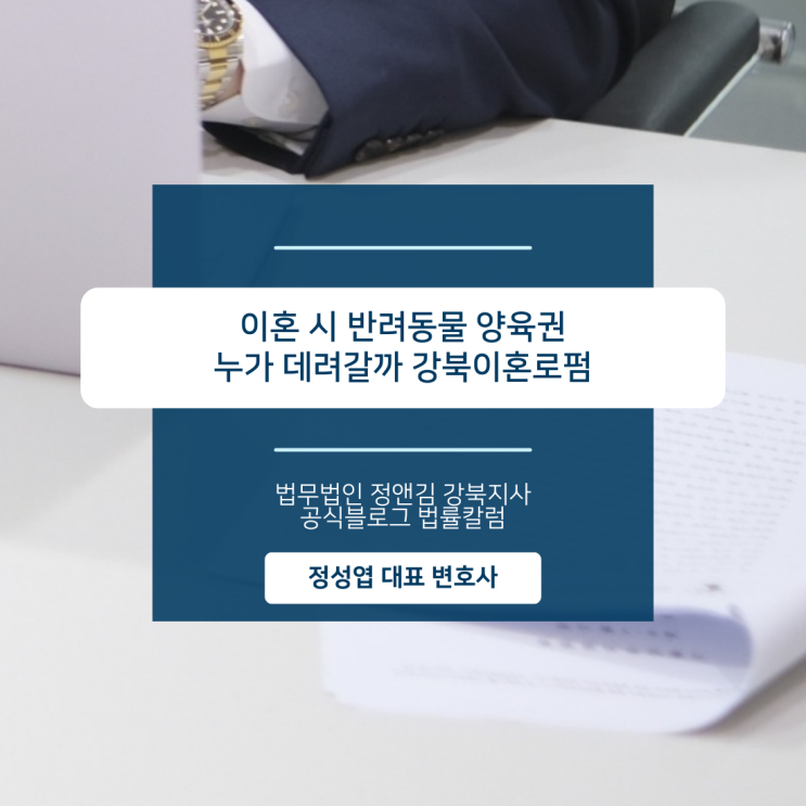  이혼 시 반려동물 양육권 누가 데려갈까 강북이혼로펌