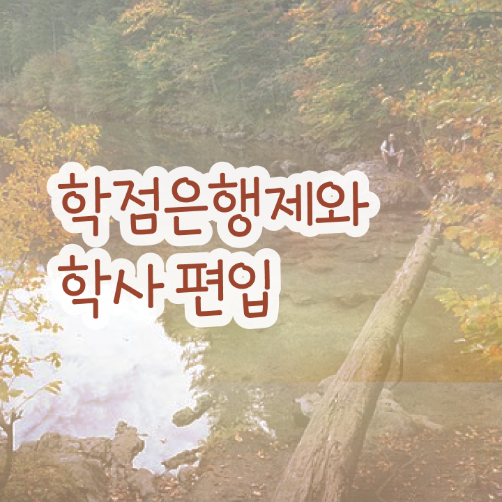  학점은행제 독학사 , 전문학습멘토가 비용절감 기간 단축 과정 공유드려요