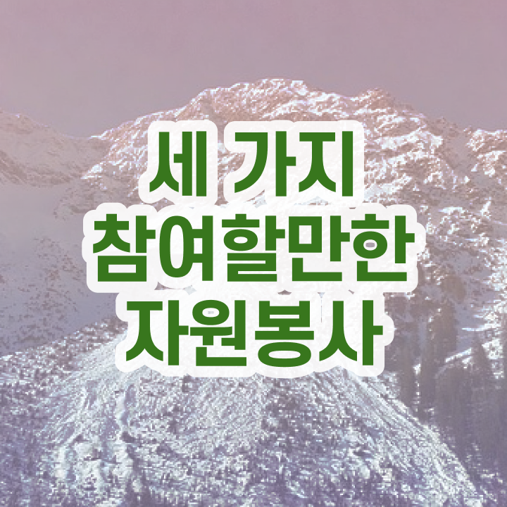  부국제 자원봉사 , 자원봉사지도사 자격증 쉽고 간편하게 학습한 후기 및 이후 전망