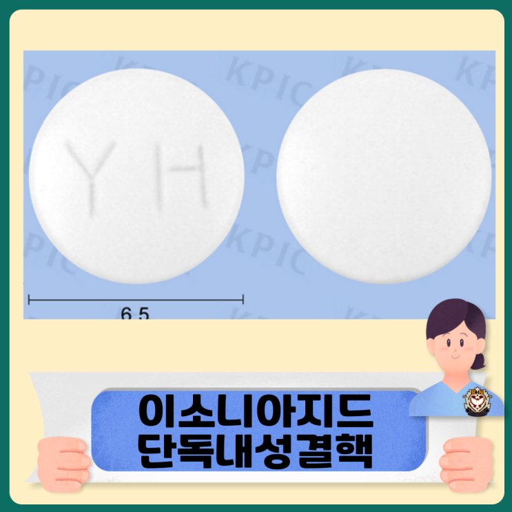  이소니아지드 단독내성결핵 치료 기간 및 방법