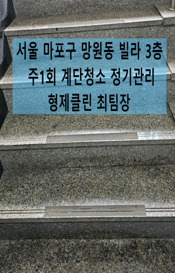  서울 마포구 계단청소 망원동 빌라계단청소 후기