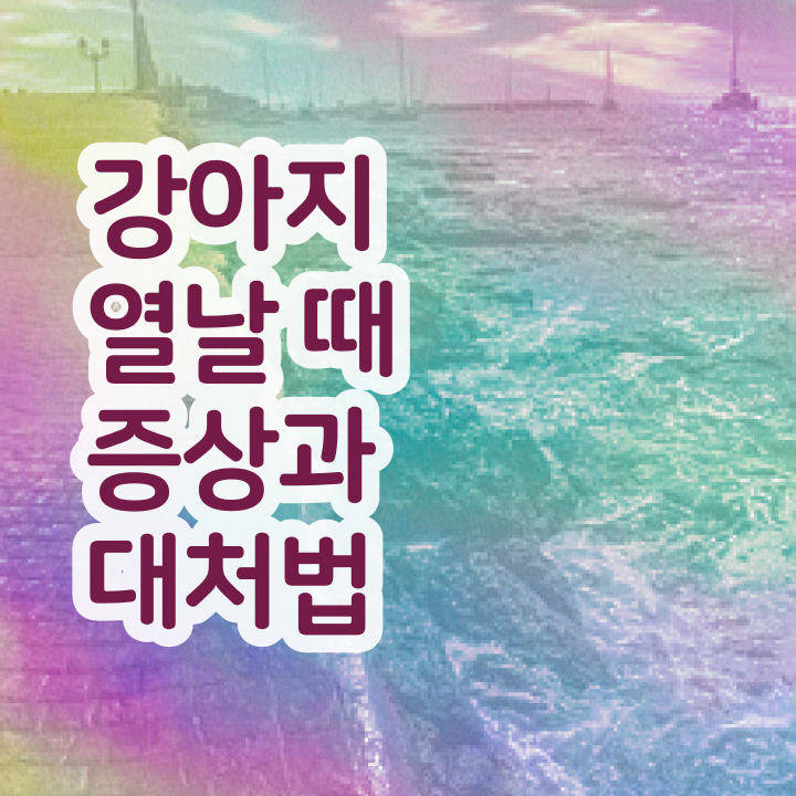  반려동물관리학 , 반려동물관리사 자격증 구체적인 취득했던 후기 및 취업정보