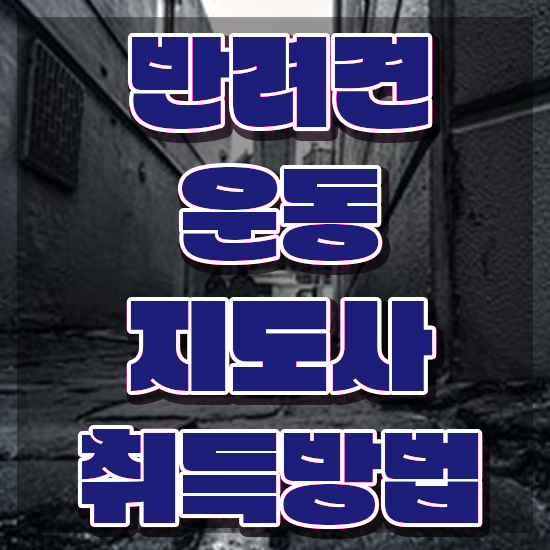  반려견운동지도사 무료 학원 , 반려견운동지도사 온라인으로 손쉽게 취득했던 후기 알아볼게요