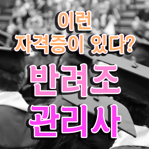  코뉴어앵무새키우기 , 반려조관리사 자격증 준비 과정 알아보기