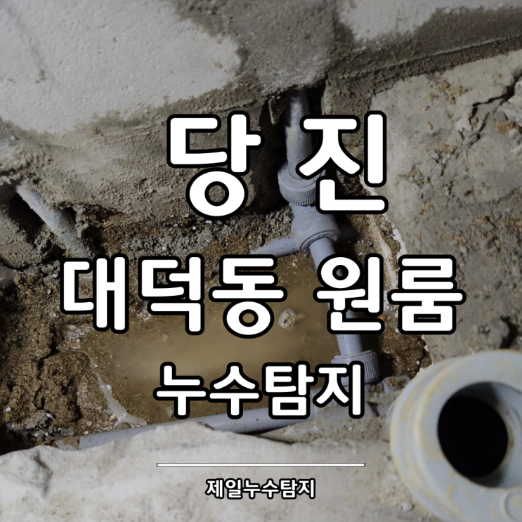  당진누수탐지 대덕동 원룸 냉수배관 누수