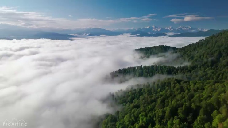  정신건강사회복지사채용 관련학과 졸업장 없어도 손쉽게 사회복지사 를 따고 취직한 방법
