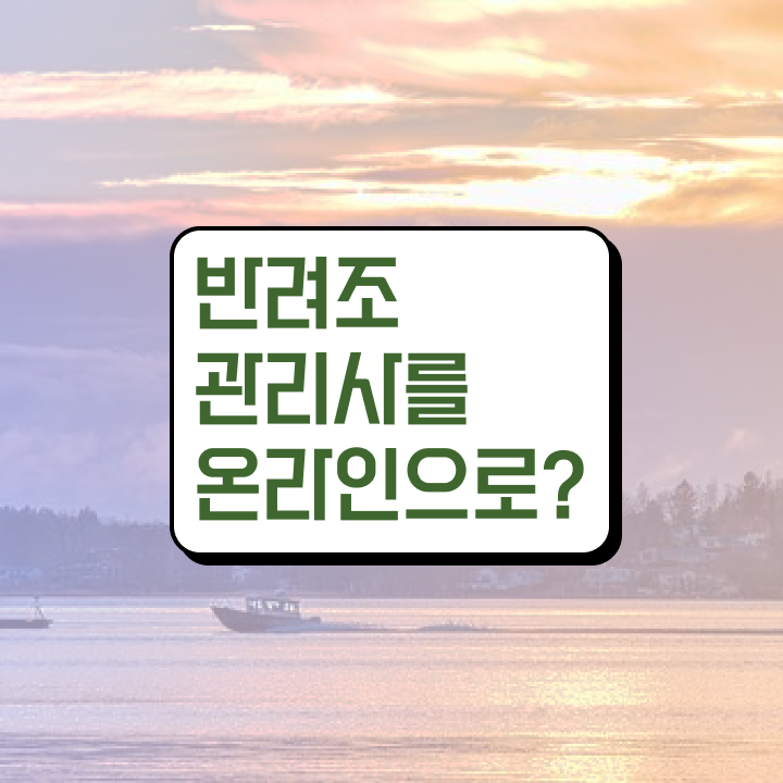  왕관앵무새 분양 , 반려조관리사 자격증 쉽고 빠르게 취득한 노하우 , 경력 활용 방안