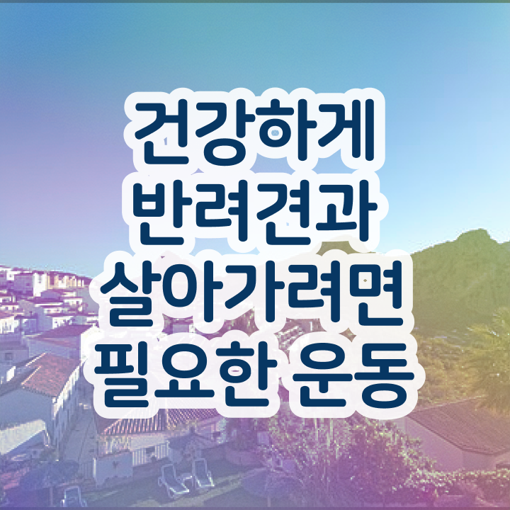  반려동물관리사 취업 , 단기간에 반려견운동지도사 합격 비법
