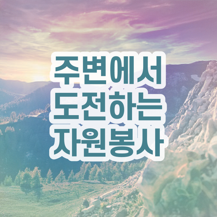  안내견 자원봉사 , 자원봉사지도사 자격증 온라인으로 쉽게 합격정보 정리